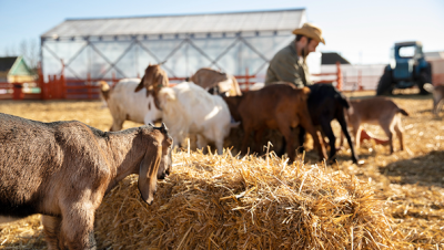 2149211736 1 2149211736 1