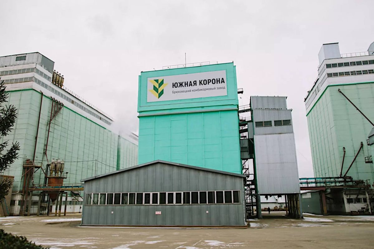 Логотип бренда Южная корона