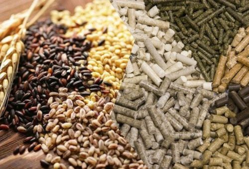 Kombikorm-dlya-zhivotnyh_000_Oblozhka