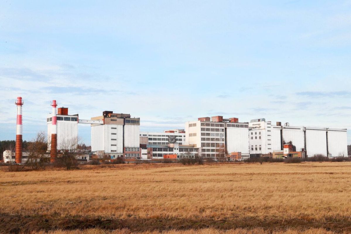 Логотип бренда Раменский